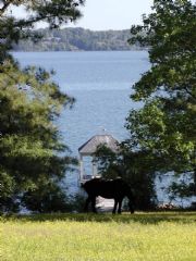Wilson Lake&nbsp;Lake wilson