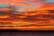 Wheeler Lake&nbsp;Orange Wheeler Sunrise