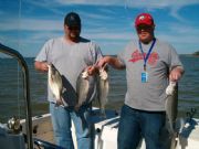 Lake Hartwell&nbsp;Hartwell Hybrids