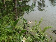 Demopolis Lake&nbsp;