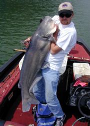 Wilson Lake&nbsp;SCA News Pic  70+ Wilson Lake Blue