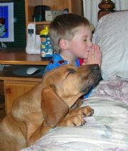Lake Martin&nbsp;pray for rain