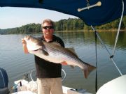 Lake Hartwell&nbsp;Fat Striper