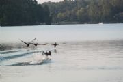 Lake Martin&nbsp;
