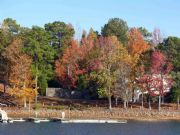Lake Martin&nbsp;