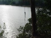 Demopolis Lake&nbsp;