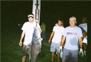 Wilson Lake&nbsp;SCA Classic 2003    68 Lb Wilson Blue