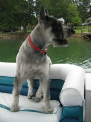 Lake Martin&nbsp;Stoney out for a Cruise