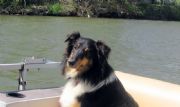Lake Martin&nbsp;Lady loves Lake Martin