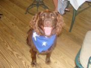 Lake Martin&nbsp;Bleux says Happy 4th of July!