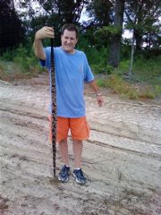 Lake Martin Shoefly