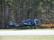 Lake Martin&nbsp;T-6's at Willow point airport