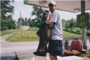 Wheeler Lake&nbsp;73 Lb Wheeler Lake Flathead