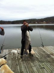 Logan Martin Lake&nbsp;50lb Catfish caught by me on 12lb line off my dock on Logan Martin Lake.
