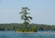 Lake Martin&nbsp;Sand Island