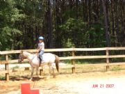 Lake Hartwell&nbsp;Riding Camp on Lake Hartwell