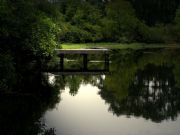 Lay Lake&nbsp;Waxahatchee Creek