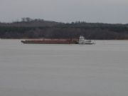 Pickwick Lake&nbsp;