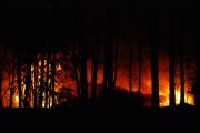 Lake Martin&nbsp;Fire in Parker Creek