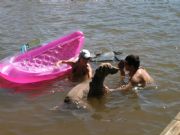 Lake Martin&nbsp;Mans best friend