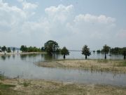 Lake Eufaula&nbsp;