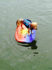Smith Lake&nbsp;Ethel! 