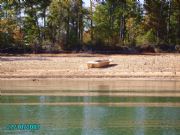Lake Martin&nbsp;