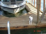 Lake Martin&nbsp;Waiting on a ride