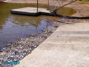 Lake Martin&nbsp;End of the Ramp @ Alex City