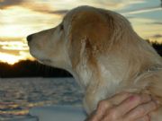 Lake Martin&nbsp;Enjoying the Sunset