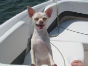 Lake Martin&nbsp;Breezy