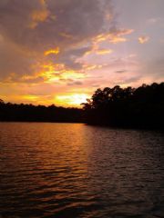 Lake Martin&nbsp;Little Kowaliga Bay 