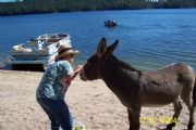 Lake Martin&nbsp;Donkey and Patti Winter 04-Goat Island