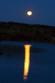 Lake Martin&nbsp;Moon over Lake Martin, 3-29-10 (Picture 2)