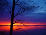 Wheeler Lake&nbsp;Sunrise with Shagbark Hickory