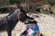 Lake Martin&nbsp;Donkey and Patti Winter 04-Goat Island