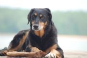 Lake Martin&nbsp;Maggie