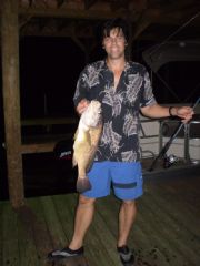 Lay Lake&nbsp;Freshwater Drum fish