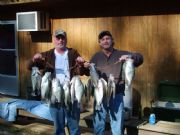 Sardis Lake&nbsp;Limit of Slabs From Sardis Feb 2008