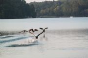 Lake Martin&nbsp;