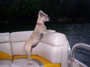Smith Lake&nbsp;