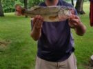 Fish of Lake Shelbyville